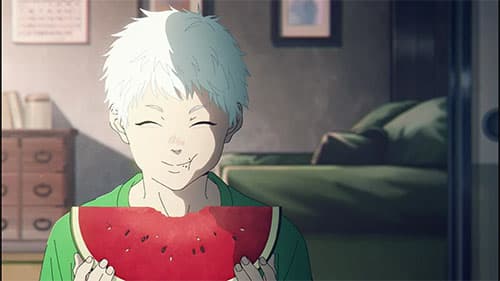 Hikaru ga Shinda Natsu